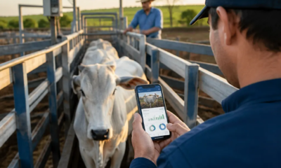 Controle de Rebanho com Aplicativo: Pesagem Rápida e Fácil